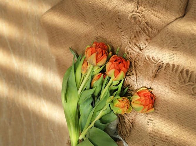 今年财运翻身！这3个生肖苦尽甘来，赚钱比以前轻松多了！