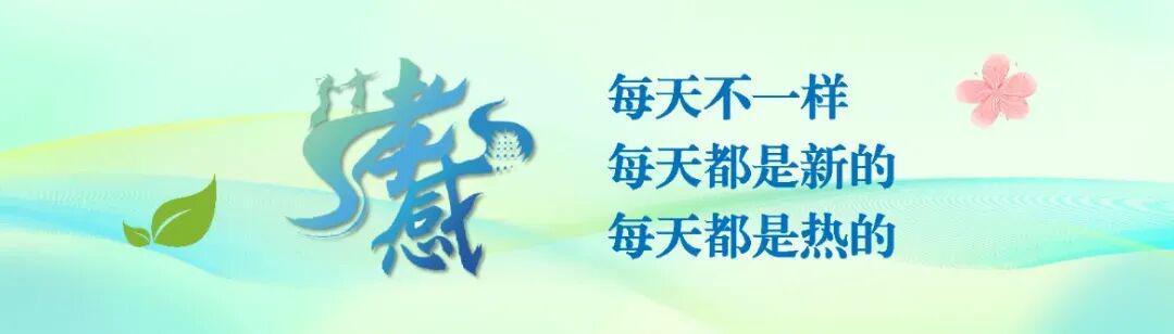 德甲